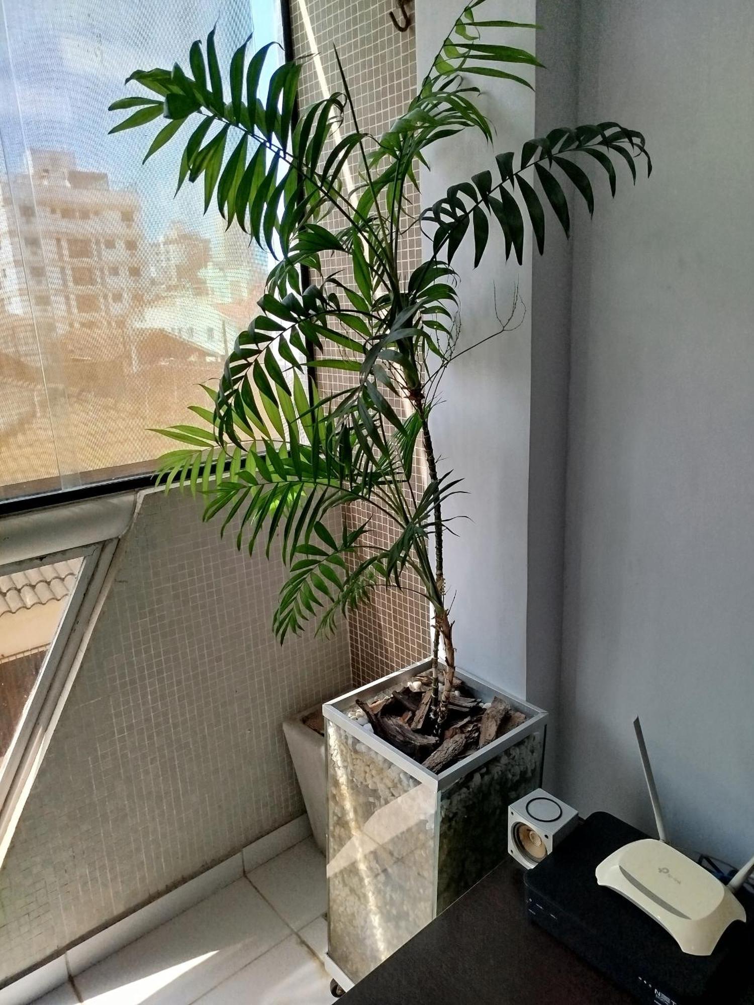 Apartamento IMPECÁVEL na Enseada Guarujá Esterno foto